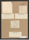 Campylodiscus undulatus Grev. (de-Toni-Nr.: Genus 57, Species 2447) Zeichnungen Sammlung Grunow Nr. 4918 (NHMW-BOT-W0373126)